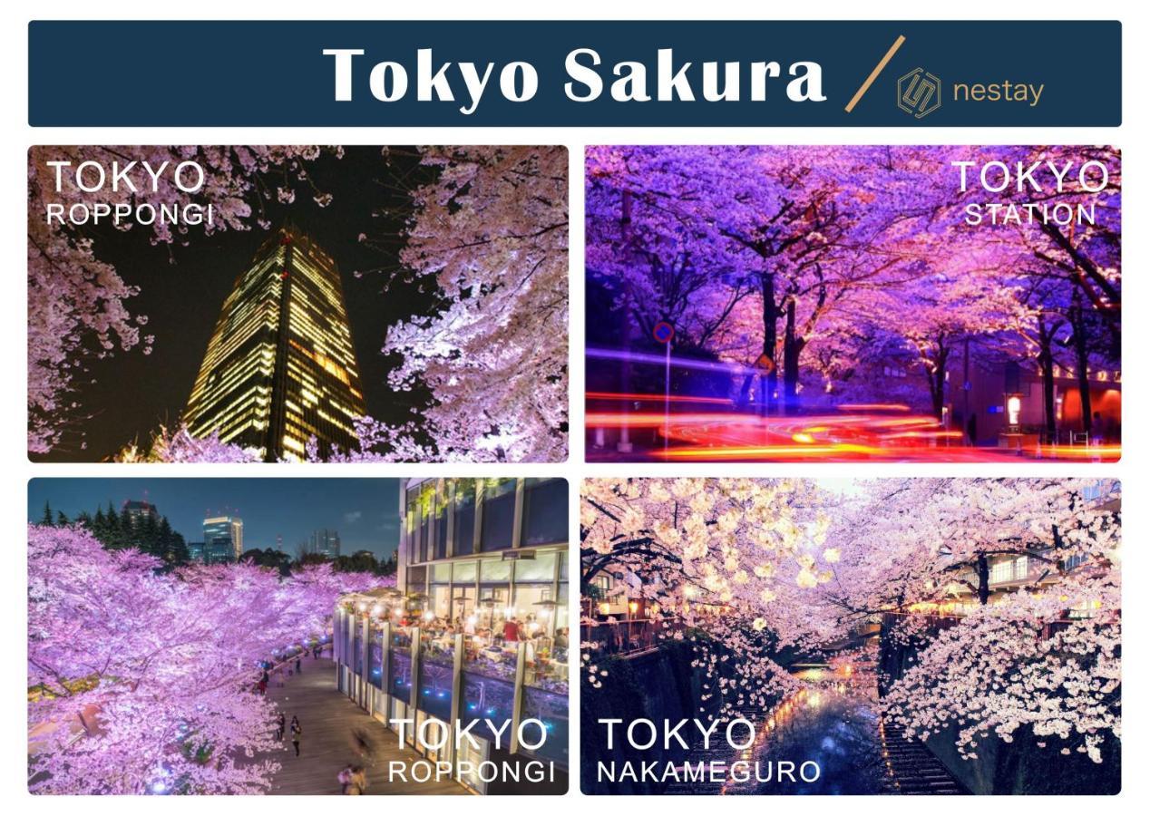 Nestay Villa Tokyo Otsuka エクステリア 写真